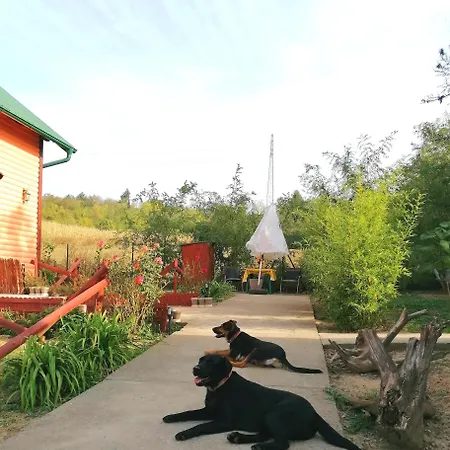 Sunny Side Fruska Gora- A Apartment *