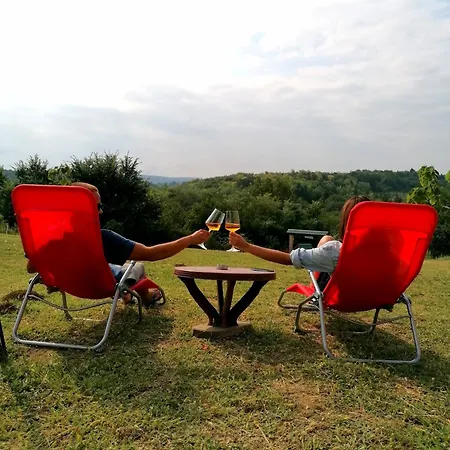 Sunny Side Fruska Gora- A Apartment