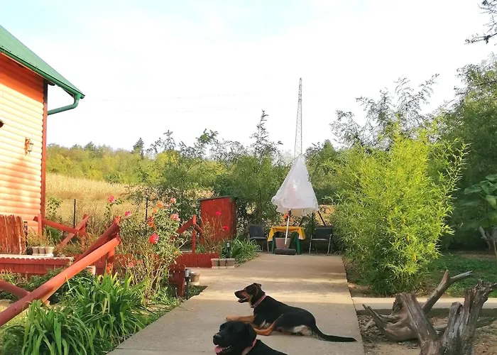 Sunny Side Fruska Gora- A Daire *