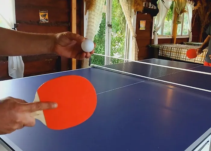 Daire Sunny Side Fruska Gora- A