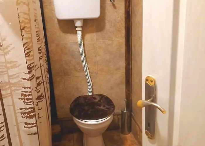 Sunny Side Fruska Gora- A Daire Velika Remeta